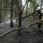 Omogućena gradnja u šumama pogođenim požarima: Zakon promenjen dok je gorelo u Deliblatskoj peščari
