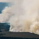 Veliki šumski požar u Belgiji: Stotine ljudi iseljeno, vatra se približava Nemačkoj