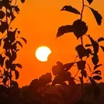 Kako je Sunce dobilo aplauz: Sećate li se prvog pomračenja koje ste videli?