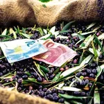 Κρήτη: «Σεισμός» στον αγροτικό κόσμο για το νέο ΟΣΔΕ – Αντιδράσεις από τα ΚΥΔ – Στον αέρα οι επιδοτήσεις