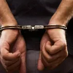 Χανιά: Συνελήφθη αλλοδαπός για τη φυτεία 770 δενδρυλλίων κάνναβης στον Αποκόρωνα