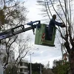 Χανιά: Εργασίες κλαδέματος στην οδό Ανδρέα Παπανδρέου