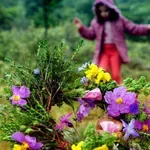Κρήτη: Ο καιρός το τριήμερο της Πρωτομαγιάς – Η πρόγνωση του Μανώλη Λέκκα