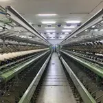 Το φαινόμενο της πεταλούδας: Η ιστορία του εργοστασίου «Κλωσταί Πεταλούδας – Μουζάκης»