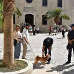 Κρήτη: Εντατικοί έλεγχοι  για την προστασία ζώων συντροφιάς