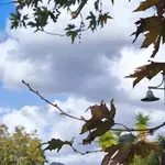 Ο καιρός της ημέρας