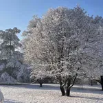 Hladno i sneg za Novu godinu