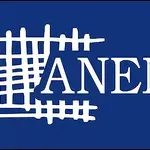 Slučaj Jelene Stojković – žrtva i nekažnjen napadač