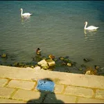 Izložba mladog fotografa Strahinje Vukića otkriva tihe prizore svakodnevnog života