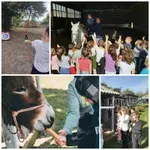 Konjički klub otvara vrata najmlađima: Dan u prirodi