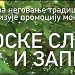 Promocija monografije „Seoske slave i zapisi na teritoriji Grada Čačka“