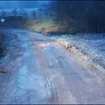 Pismo familije Vlajković