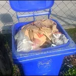 ЈКП Комуналац упорно одбија да извршава услуге изношења смећа