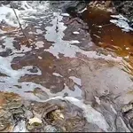 Ko zagađuje Turski potok