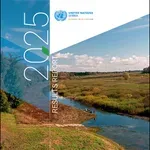 Od zelenih projekata do boljih usluga: kako je UN radio u Srbiji u 2025.