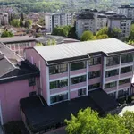 Prokišnjavaju krovovi na OŠ „Dragiša Mišović“, roditelji zabrinuti za bezbednost dece