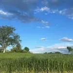 Kada stižu pljuskovi i grmljavina?