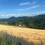 PROGNOZA: Biće malo svežije ali i dalje bez kiše