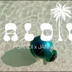 Maldivi