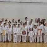 Održan Memorijalni turnir “Nemanja i Zorana”