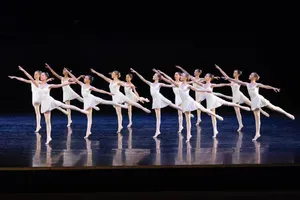 Trdo in predano delo mladih baletnih plesalcev Konservatorija za glasbo in balet Ljubljana!