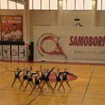 Zabryna Bornšek, dvakrat zlata, posebno priznanje Melani Gril, Twirling klub Sašo pa je osvojil kar 14 zlatih in štiri srebrne kolajne!