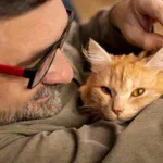 Zakaj so mačji »očetje« tako seksi?