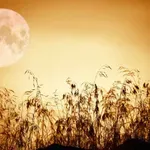 Kaj prinaša julijska polna Luna v Kozorogu?