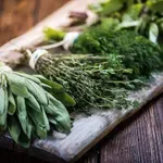 9 najboljših zelišč za odličen spomin in zdravje možganov