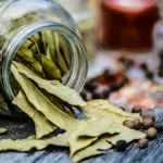 Дафиновият лист: полезен не само за вкусни гозби