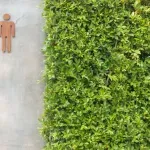 Защо се будите, за да ходите до тоалетна през нощта?