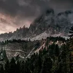 Предците ни са спели зимен сън