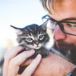 Мъж с котка = провал с жените