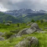 Да почистим Витоша заедно!