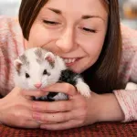 5 необичайни домашни любимци • След 5®