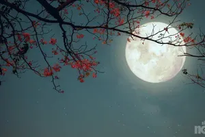 Astrologinja Lenka: Luna počasi vstopa v svojo tišino in se pripravlja na polno luno
