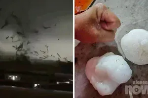 Toča v velikosti kokosa ubila pet ljudi! Tornado pustošil po kitajskem mestu, oglejte si posnetek (VIDEO)