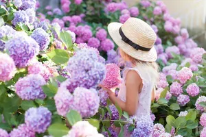 Deset najlepših cvetočih grmovnic za krasen poletni vrt