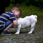 Da li su kućni ljubimci postali ‘nova deca’? Ovo je jedina prava istina iza trenda koji je zapalio sve žive