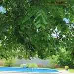 Najlepše dvorište u Novom Sadu: Trava pod konac, ruže mirišu kao san, Olivera Balašević vodi računa o svakom detalju