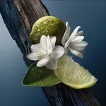 Moćan i upečatljiv i pravi magnet za žene: Parfem koji dame obožavaju na muškarcu