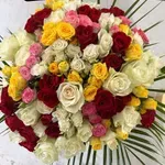 I posle dve decenije braka, Gordan Kičić nepopravljivo romantičan: Na adresu supruge Zorane stigao poklon posebnim povodom FOTO