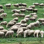 Politico για ευλογιά στην Ελλάδα: Γιατί η κυβέρνηση δεν θέλει τα εμβόλια που προσφέρουν οι Βρυξέλλες