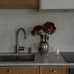 Čiščenje tvojega stanovanja: So današnja čistila res tako škodljiva in kaj jih lahko nadomesti