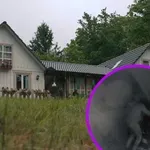 Kmetija: Ponoči se je odvijala prava grozljivka, ko so vsi spali, je povzročil požar