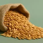 Z ječmenovo vodo proti hormonom, ki vzbujajo apetit