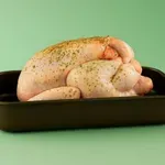 Grozna resnica o piščancih