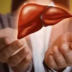 Hrana in prehranska dopolnila proti zamaščenim jetrom