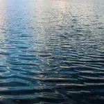 MERS: Pratimo situaciju sa vodostajem Skadarskog jezera