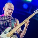 Fli pohvalio film o Hilelu Slovaku